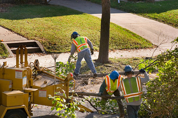 Soil Testing and Treatment in Orosi, CA